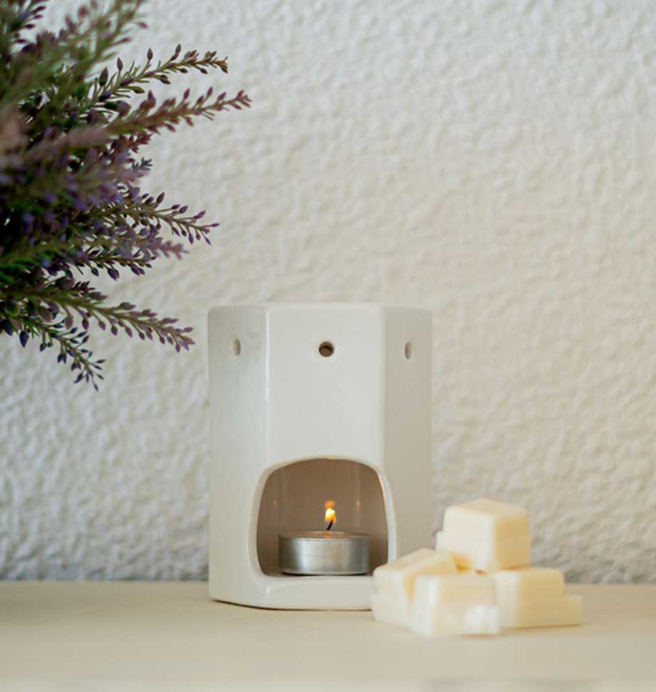 Shearer Rhubarb & Raspberry Wax Melt 6 Pack