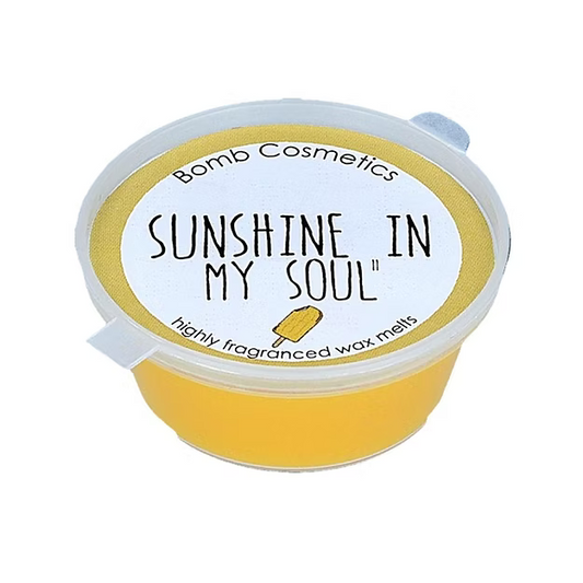 Sunshine In My Soul Mini Melt